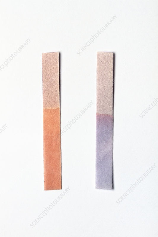 Neutral litmus paper indicator