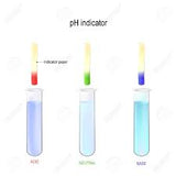 152. PH Paper Scale 2
