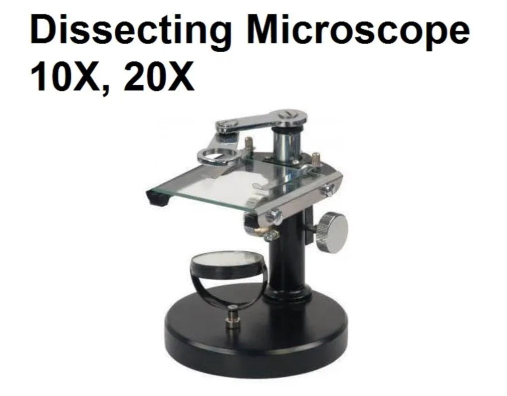 Dissecting Microscope