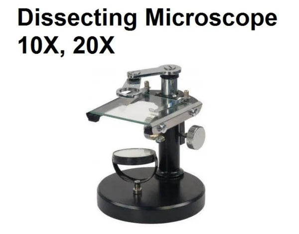 Dissecting Microscope