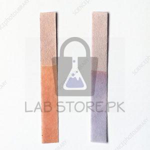 Neutral litmus paper indicator. Litmus indicator changes its colour to red under acid conditions and to blue under alkaline conditions.